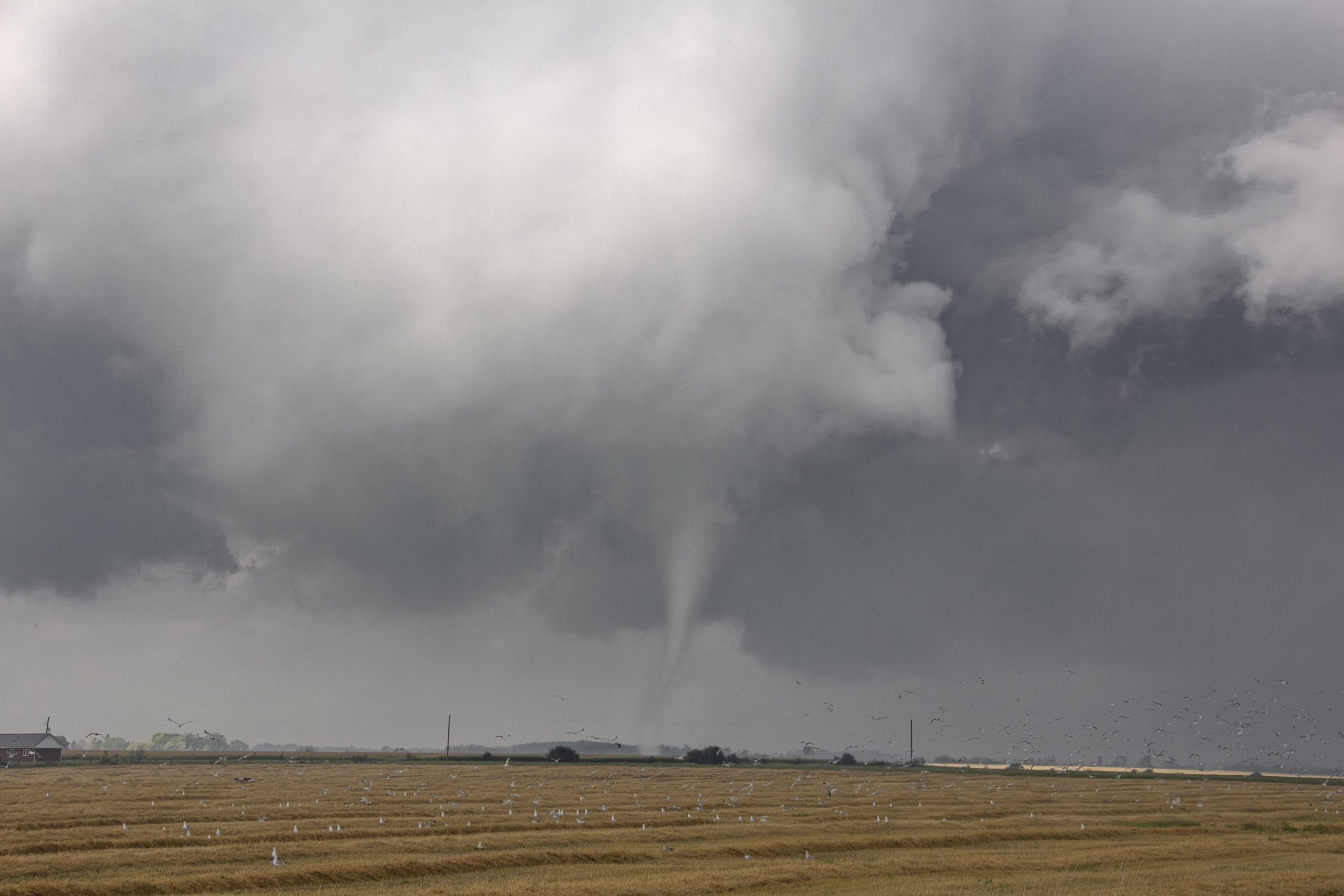 My Favourite Chase: Tornado At Arthur, Ontario — Travis Farncombe 