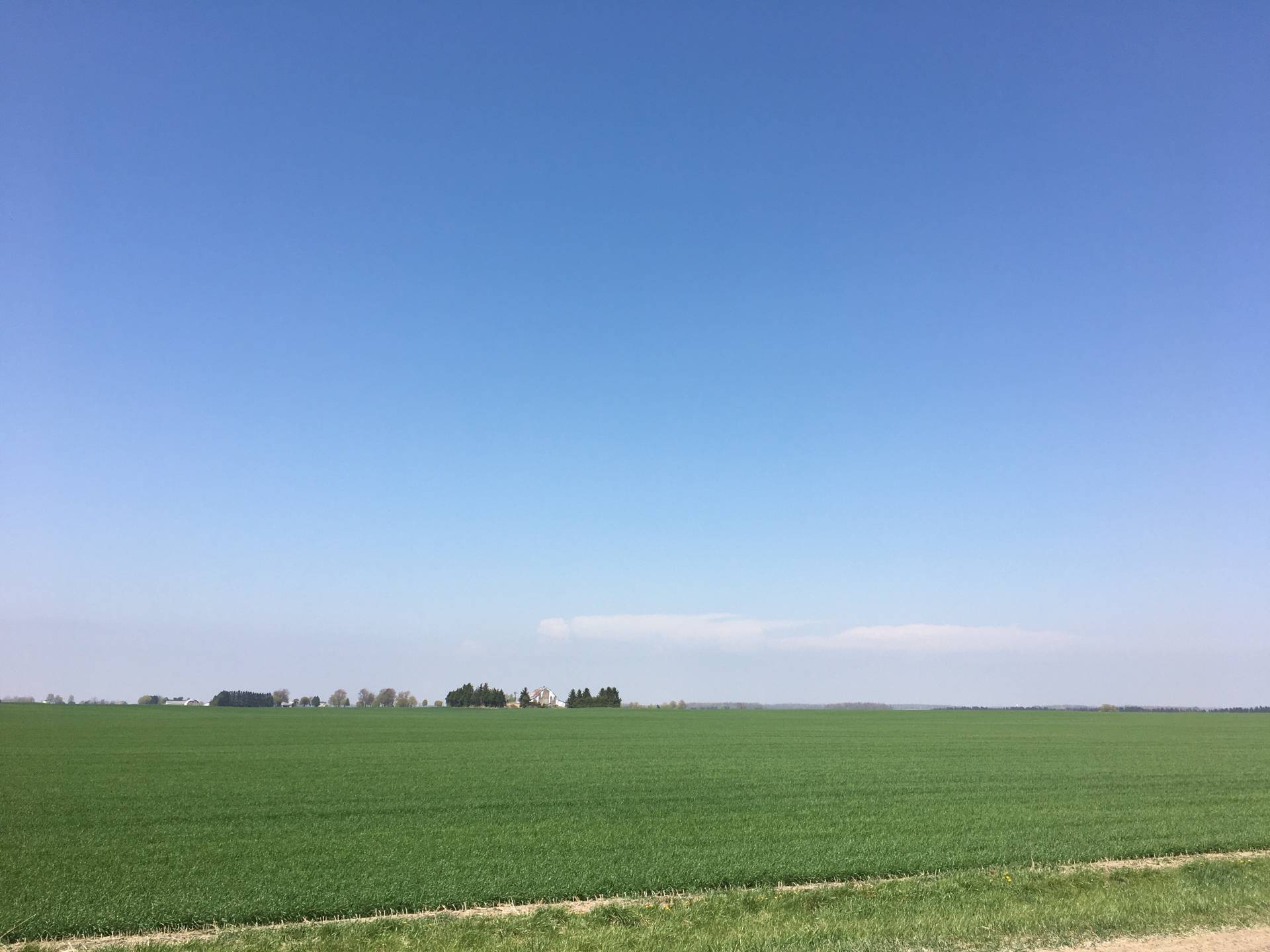 Blue sky bust in Ontario? 🤔 
