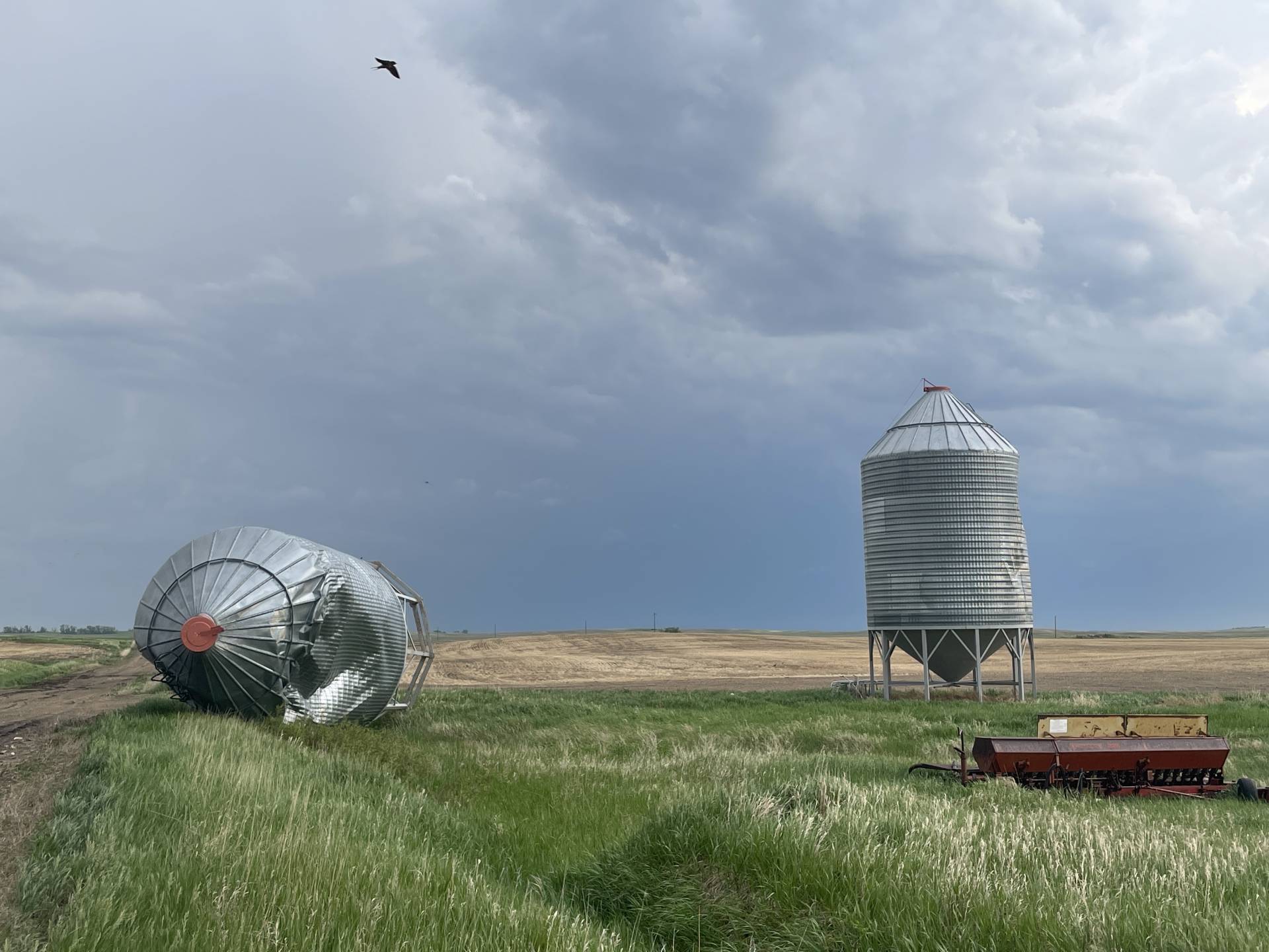 Damage south of Orminston (can’t confirm, but suspect from today) #skNTP @ntp_reports 
