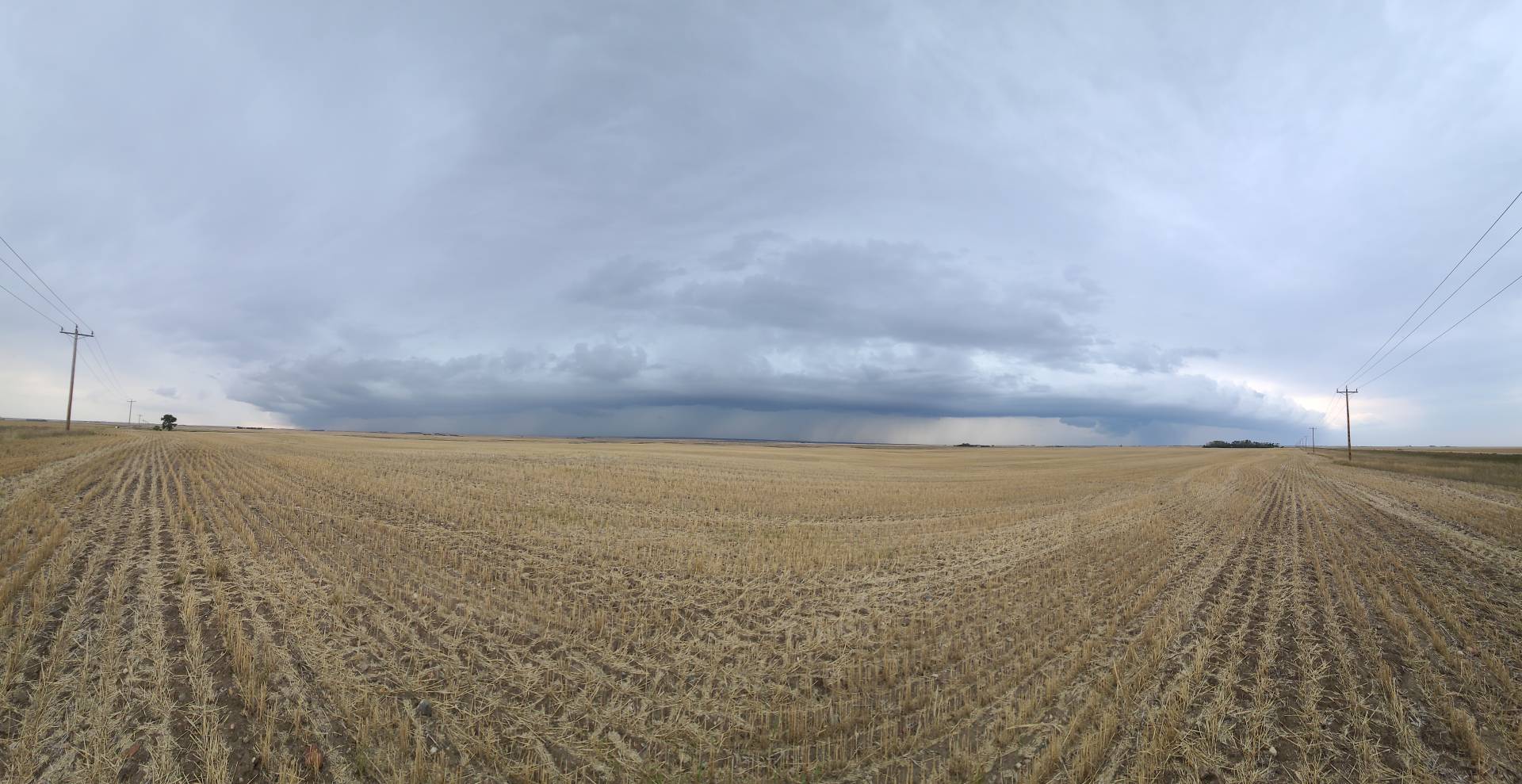 Eerie shelf cloud forming on this storm near Tribune, SK #skstorm 