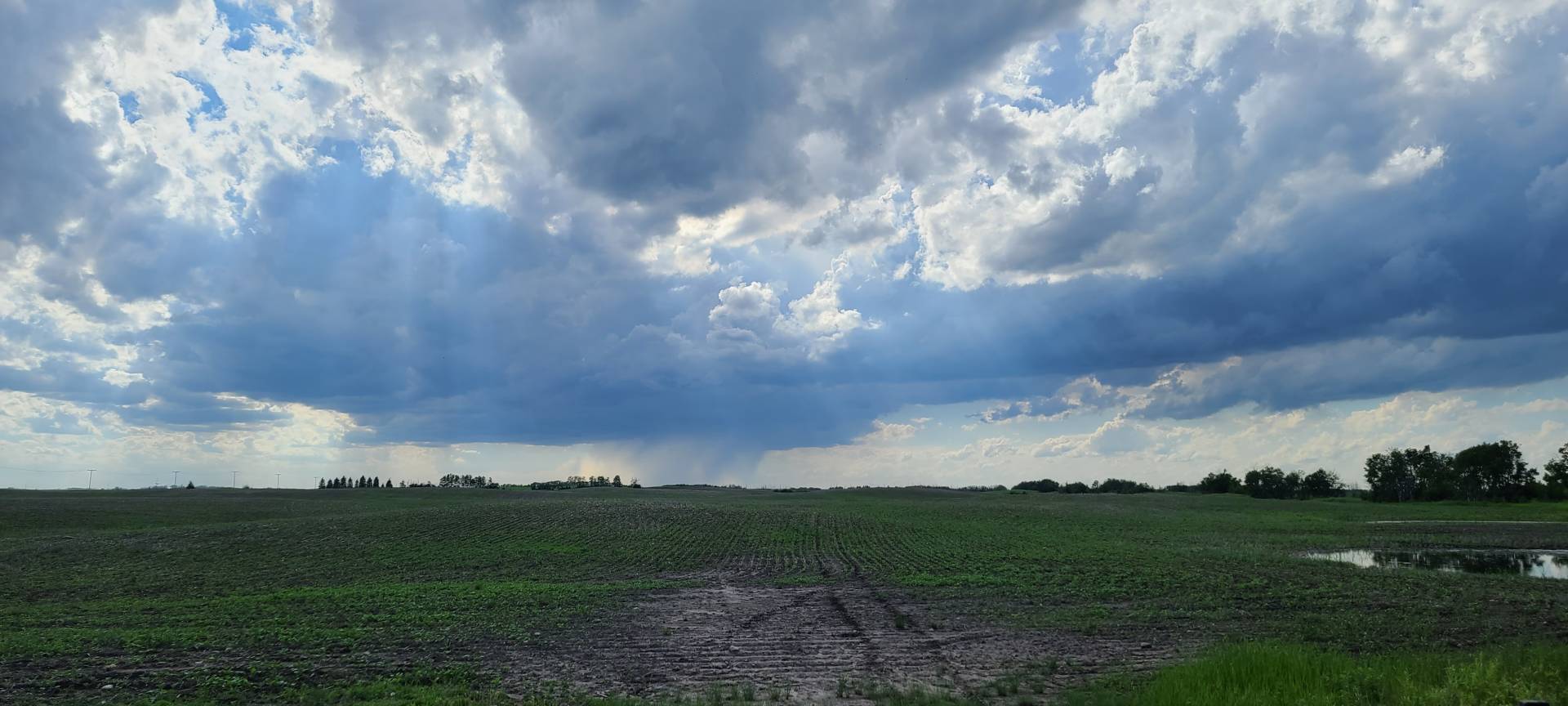 Storm trying to organize Overtop of Abernethy, SK. 04:37 PM  currently sitting near Grayson, Saskatchewan watching it grow #SKstorm #SKwx @ECCCWeatherSK