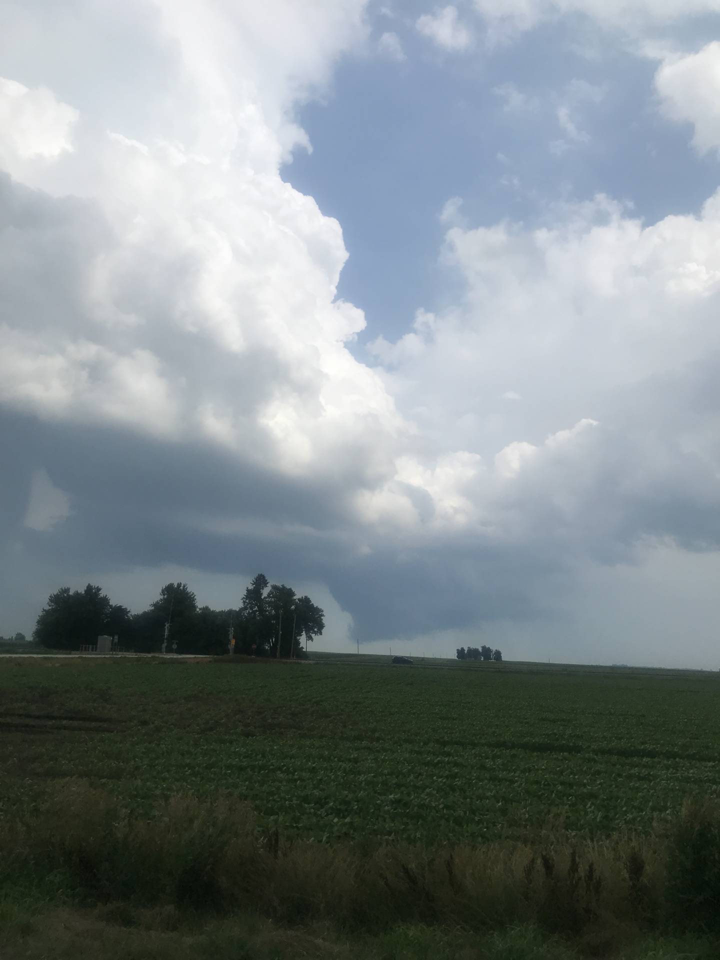 @NWSLincolnIL Looking toward Congerville. Very low wall cloud and maybe a funnel.