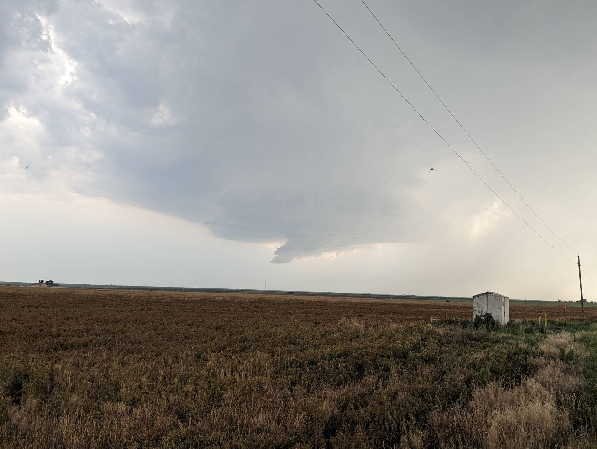 Wall cloud forming near Guymon, Oklahoma. #okwx