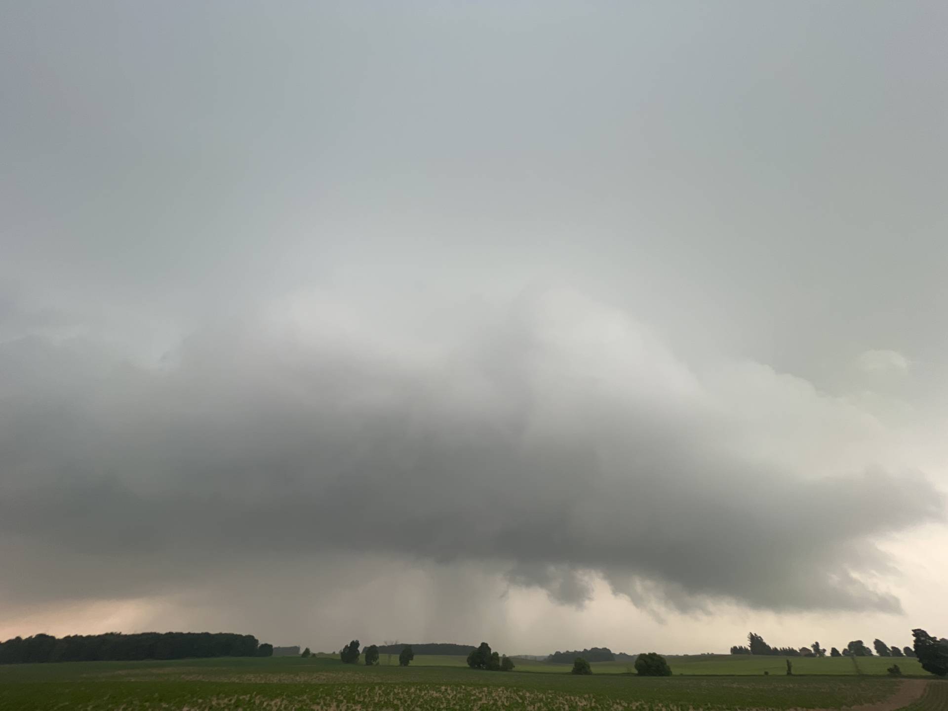 Outflow dominant now Mulmur, ON 07:37 PM #ONstorm