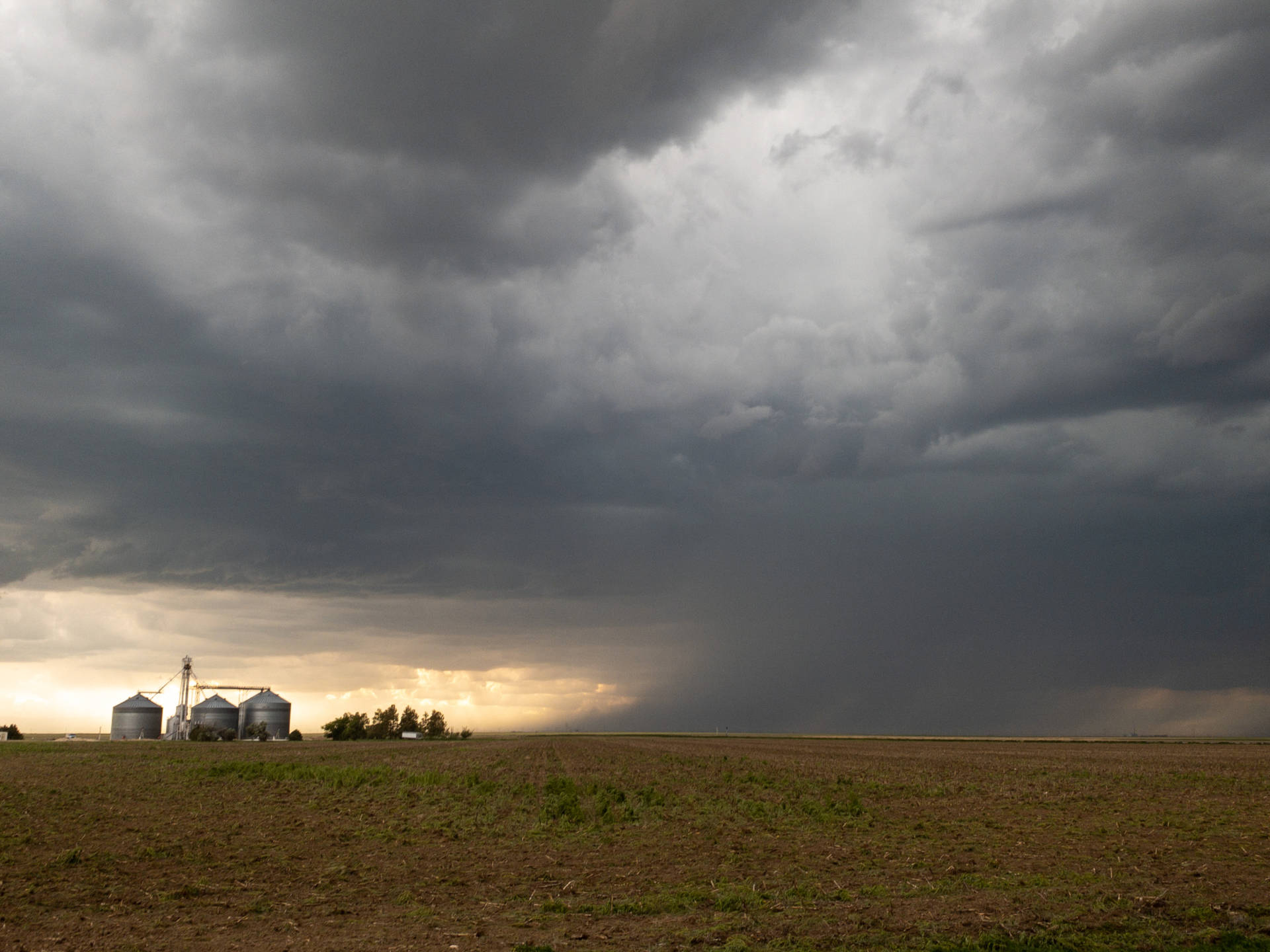 Strong storm between Leoti and Tribune, KS with rain foot and blowing dust.