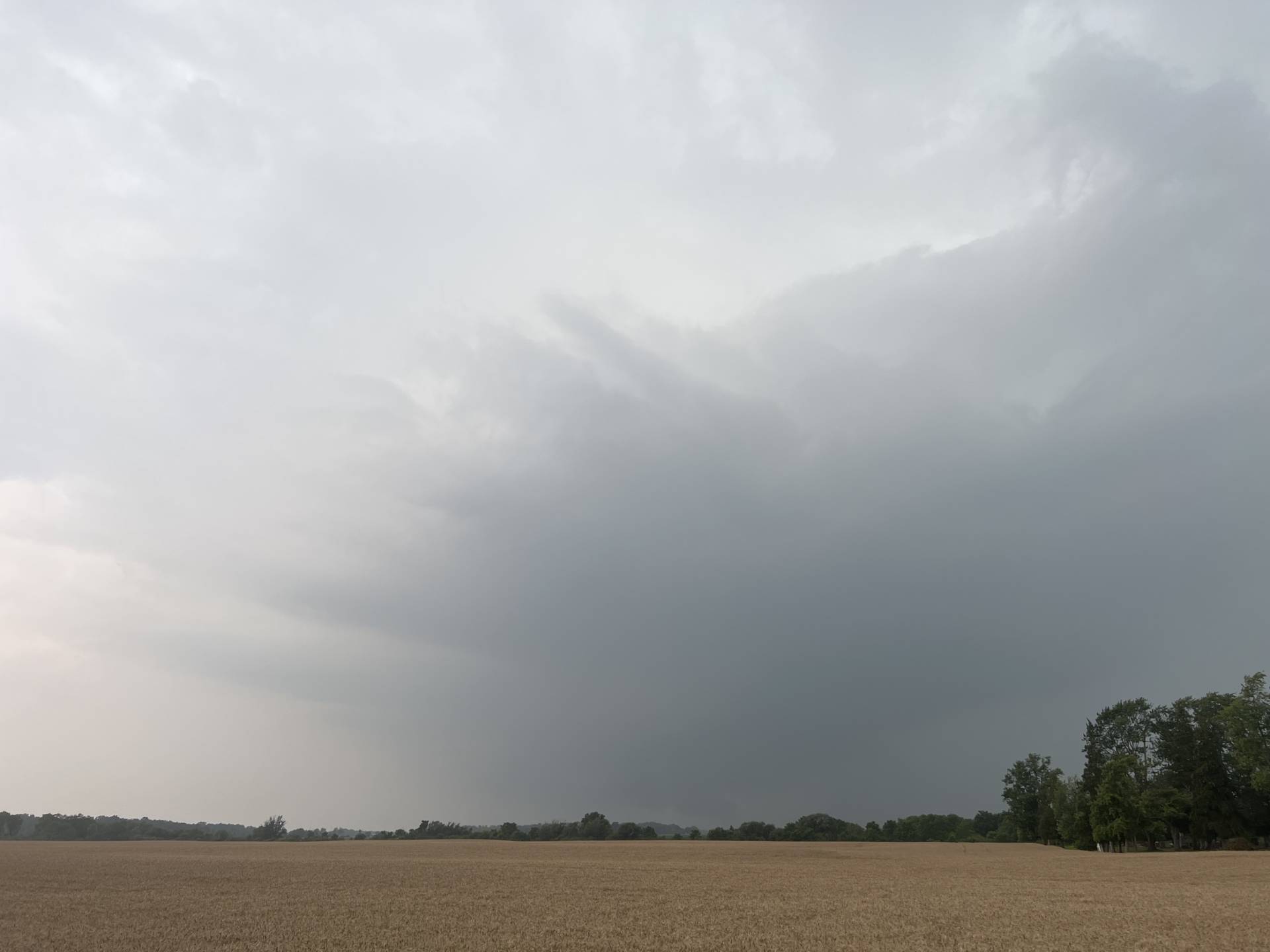 Beefy wall cloud coming into view just north of Brigden St. Clair, ON 03:45 PM #ONstorm