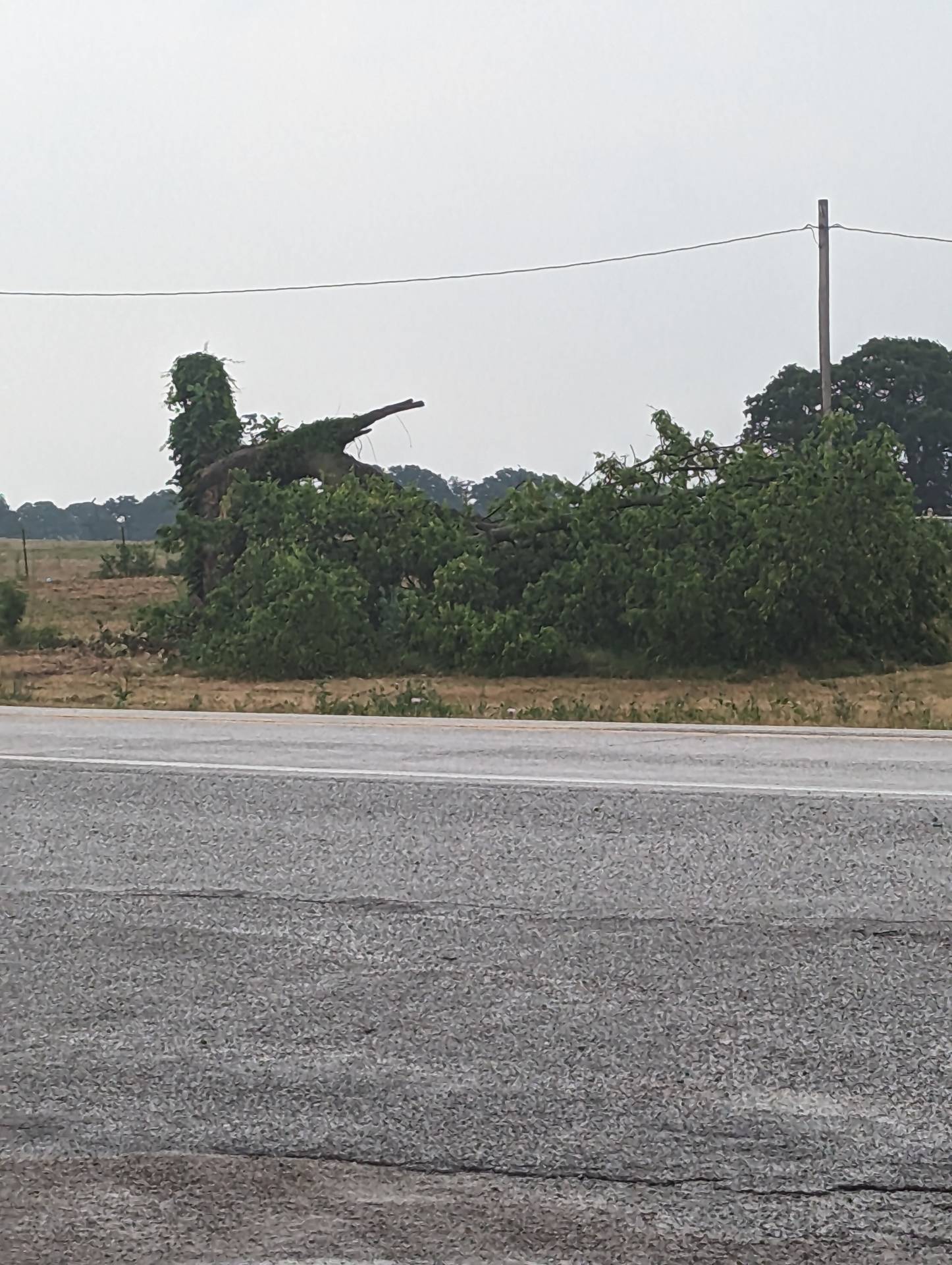 Damage west of Marietta