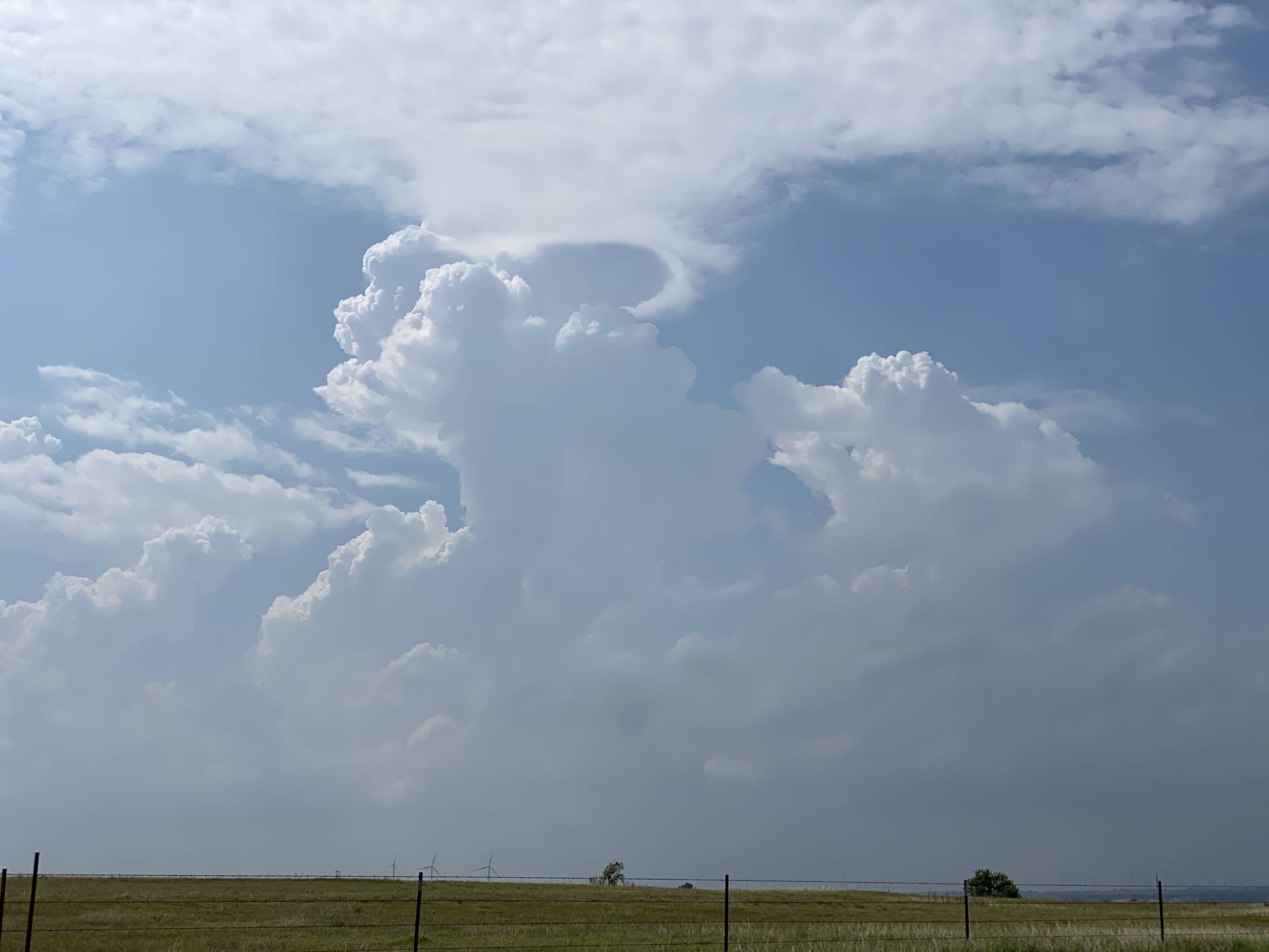 That pileus looks promising! NW of Weayher Weatherford, OK #okwx
