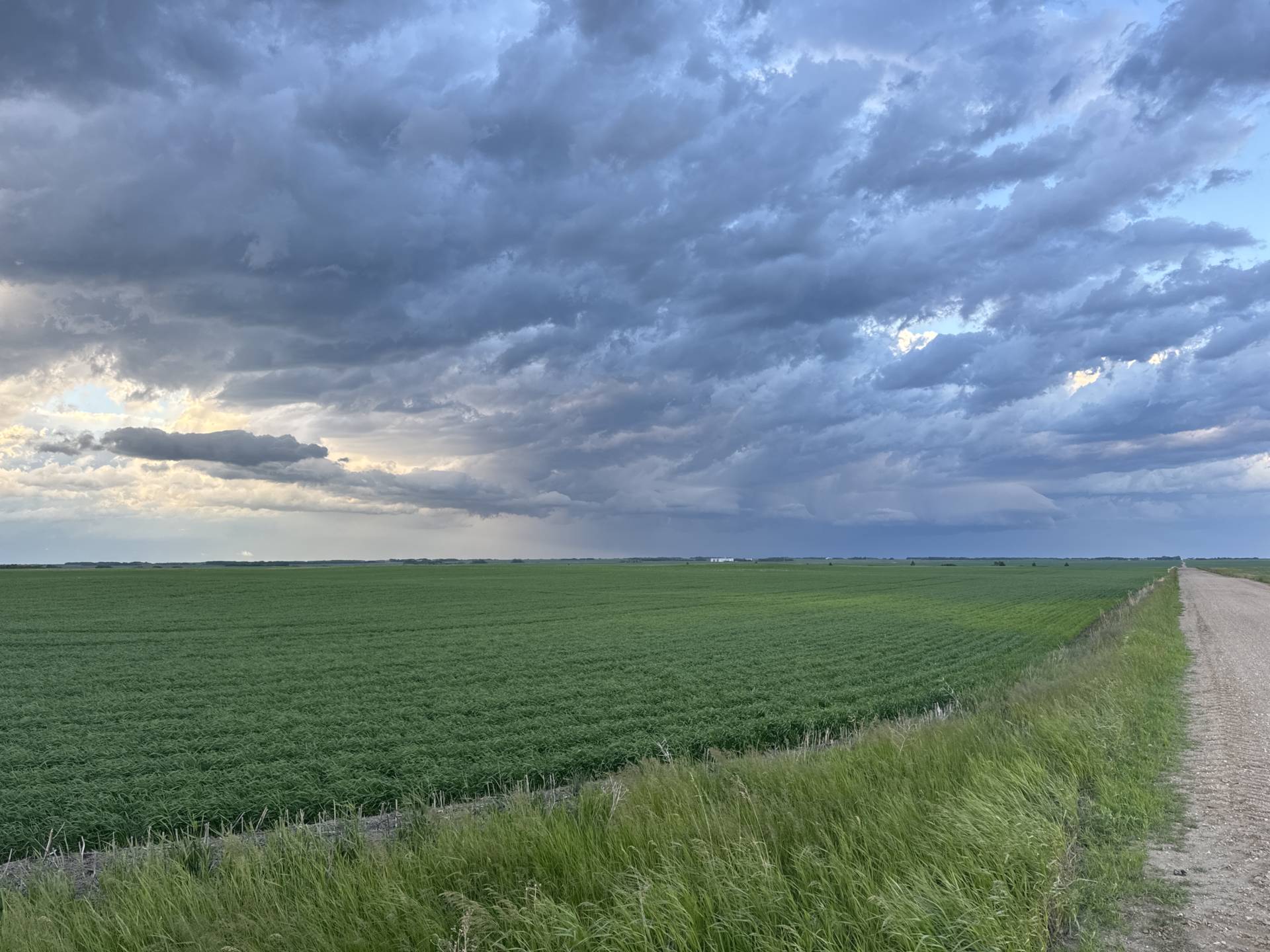 As the storm continues to move east. I will be ending my chase here some follow up video and pictures to come. Humboldt No. 370, SK 08:31 PM #SKstorm #SKwx @ECCCWeatherSK