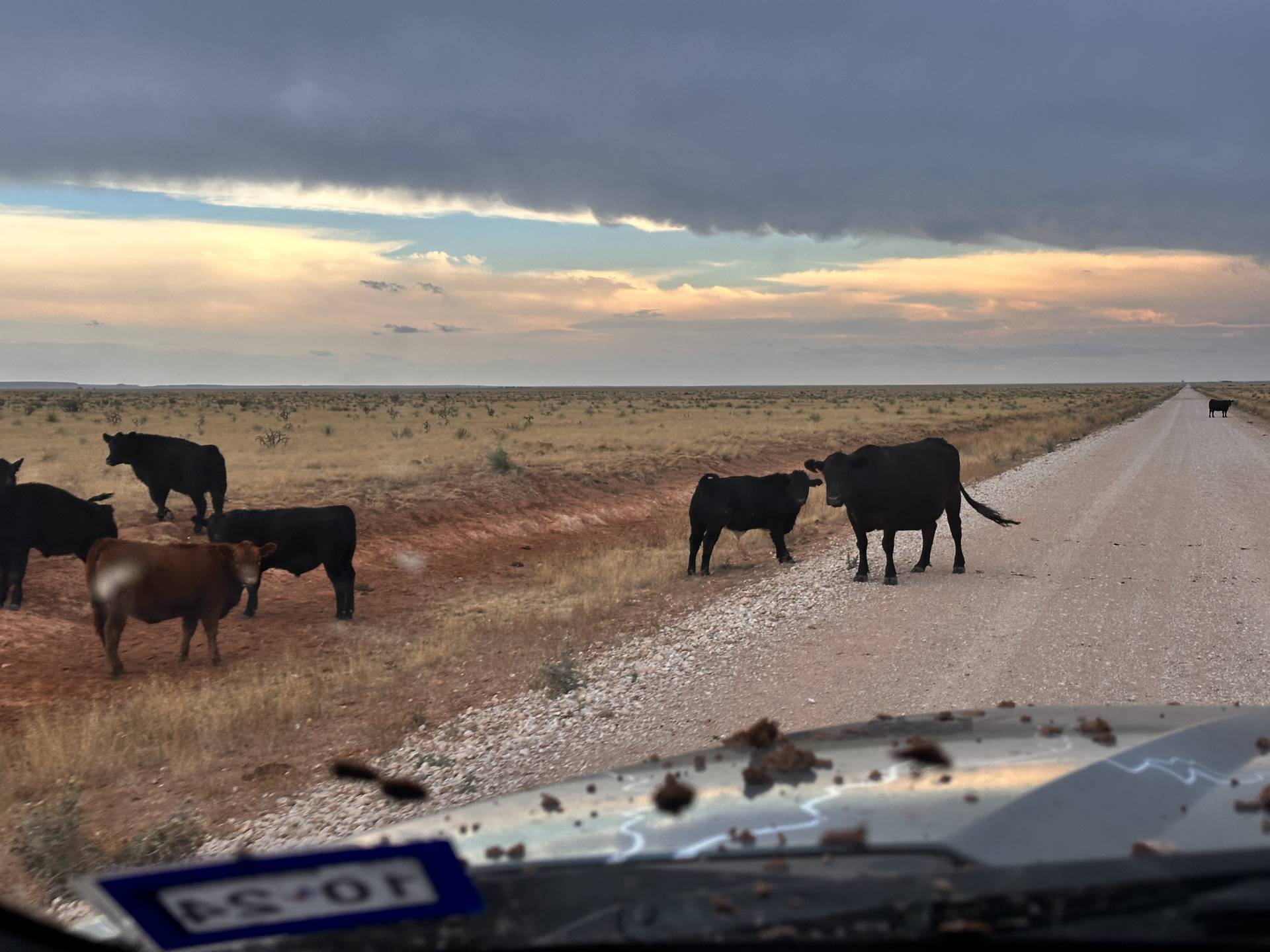 Fort Sumner, NM 04:38 PM