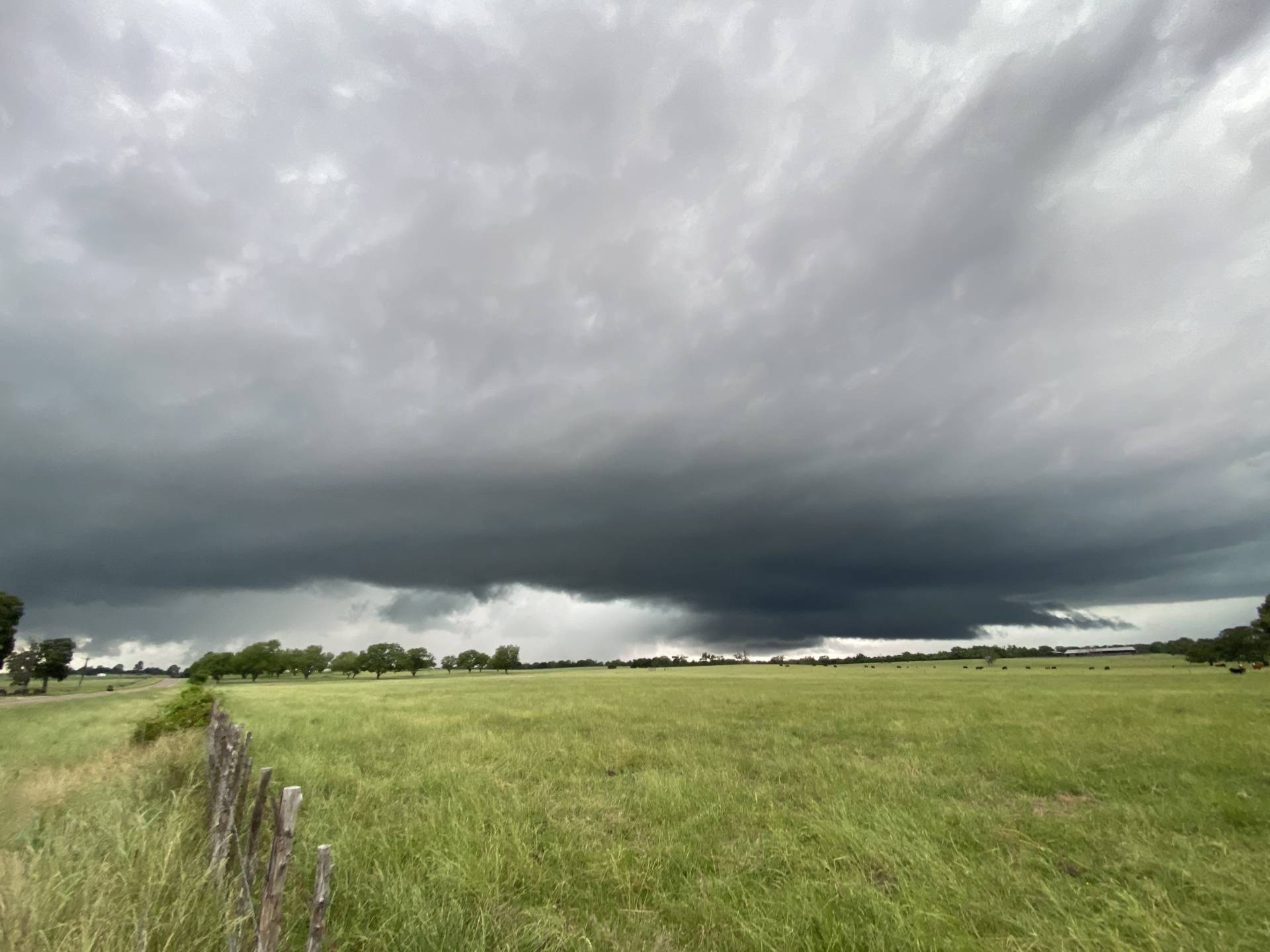 Next one, severe warned, rolling over Buffalo, TX. #txwx