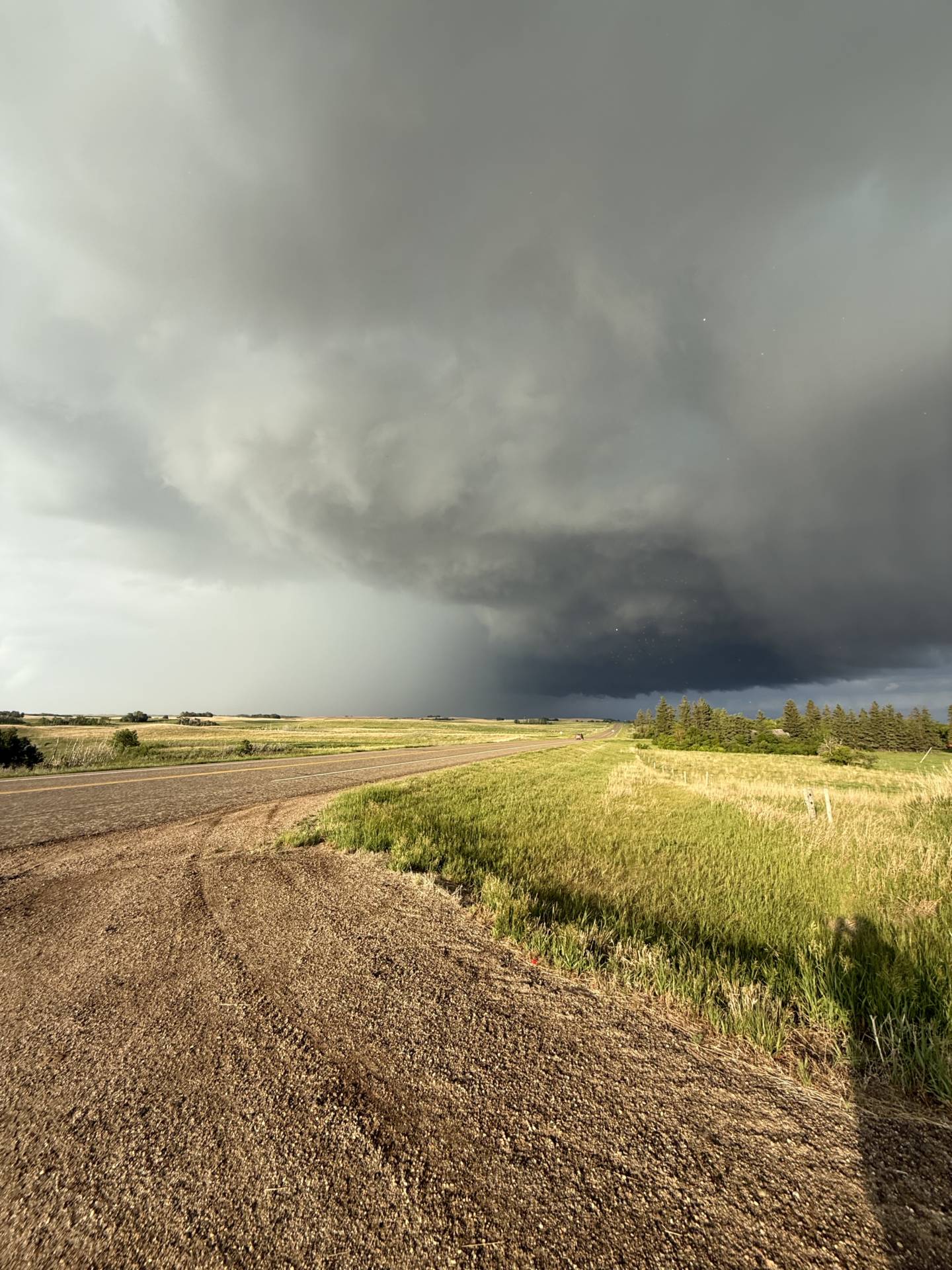 Humboldt No. 370, SK 07:19 PM