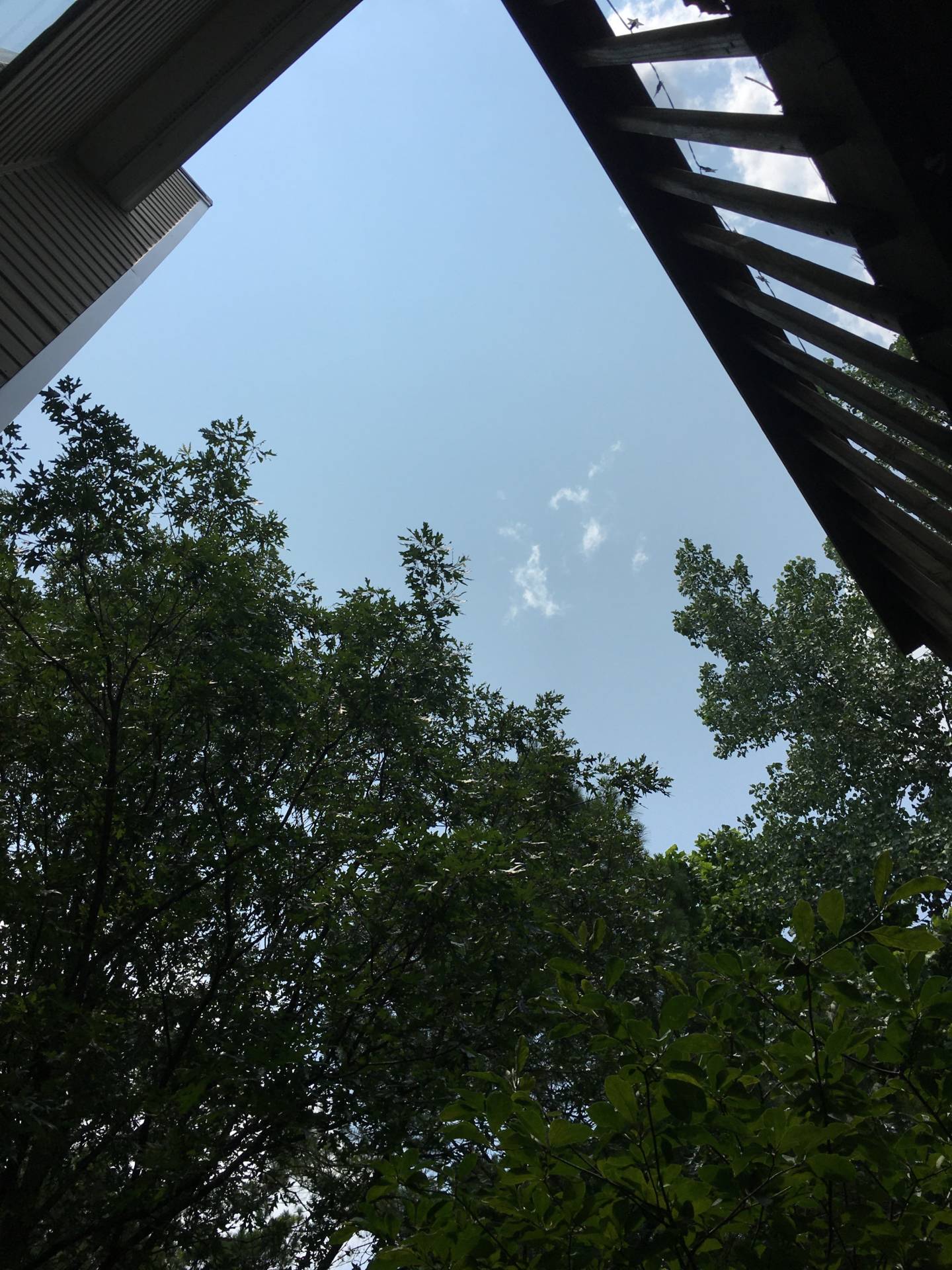 Blue sky’s