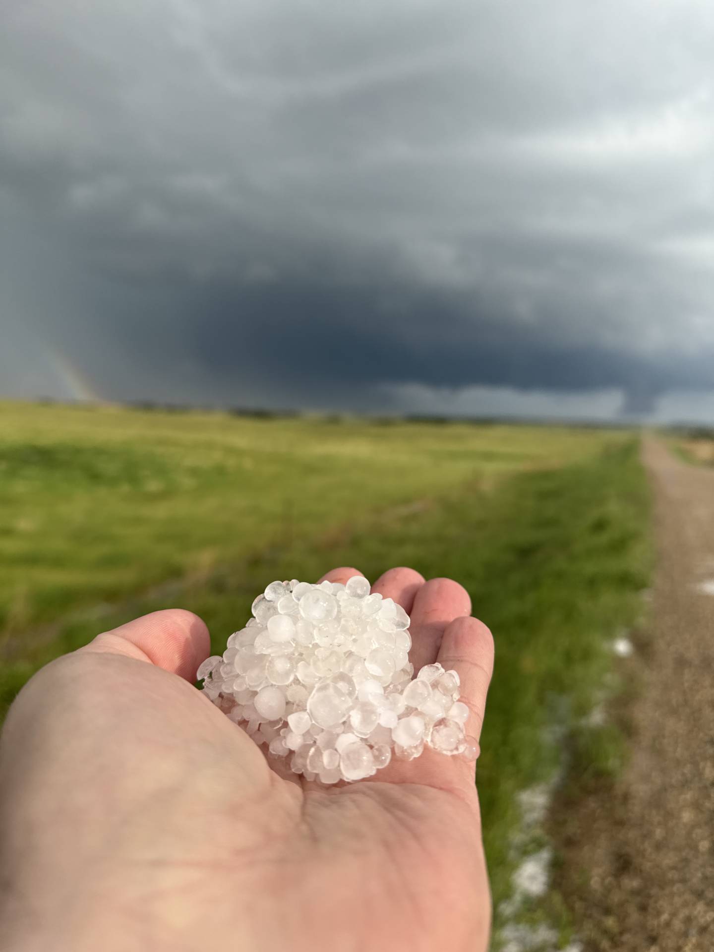 06:40 PM Bayne No. 371, SK #SKwx