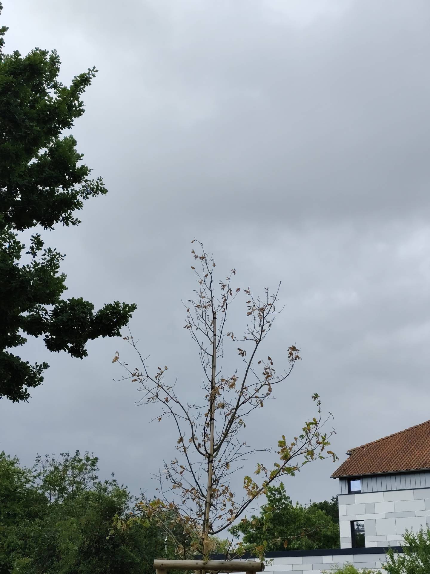 Starker Regen im Anmarsch