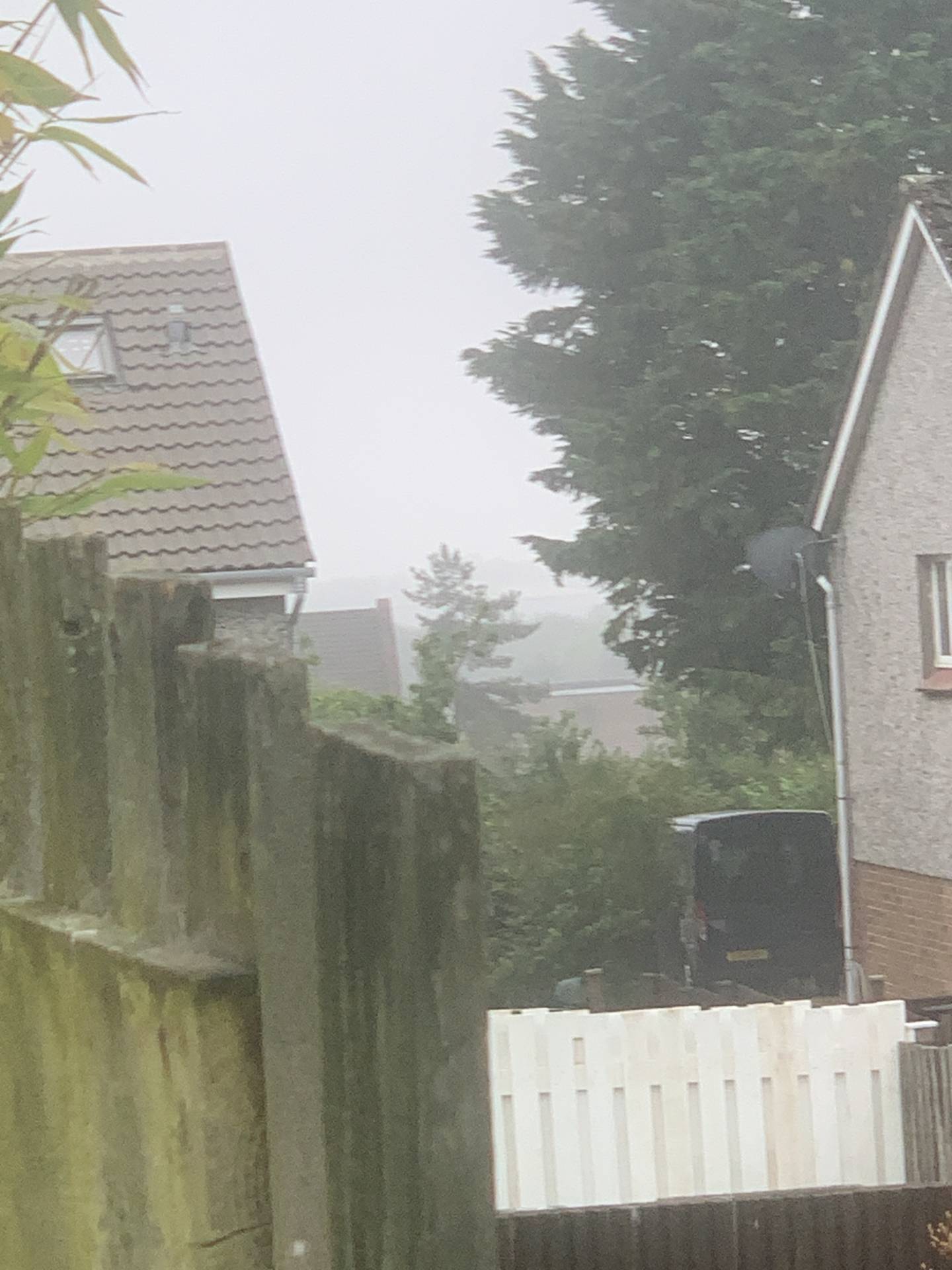 Small mist