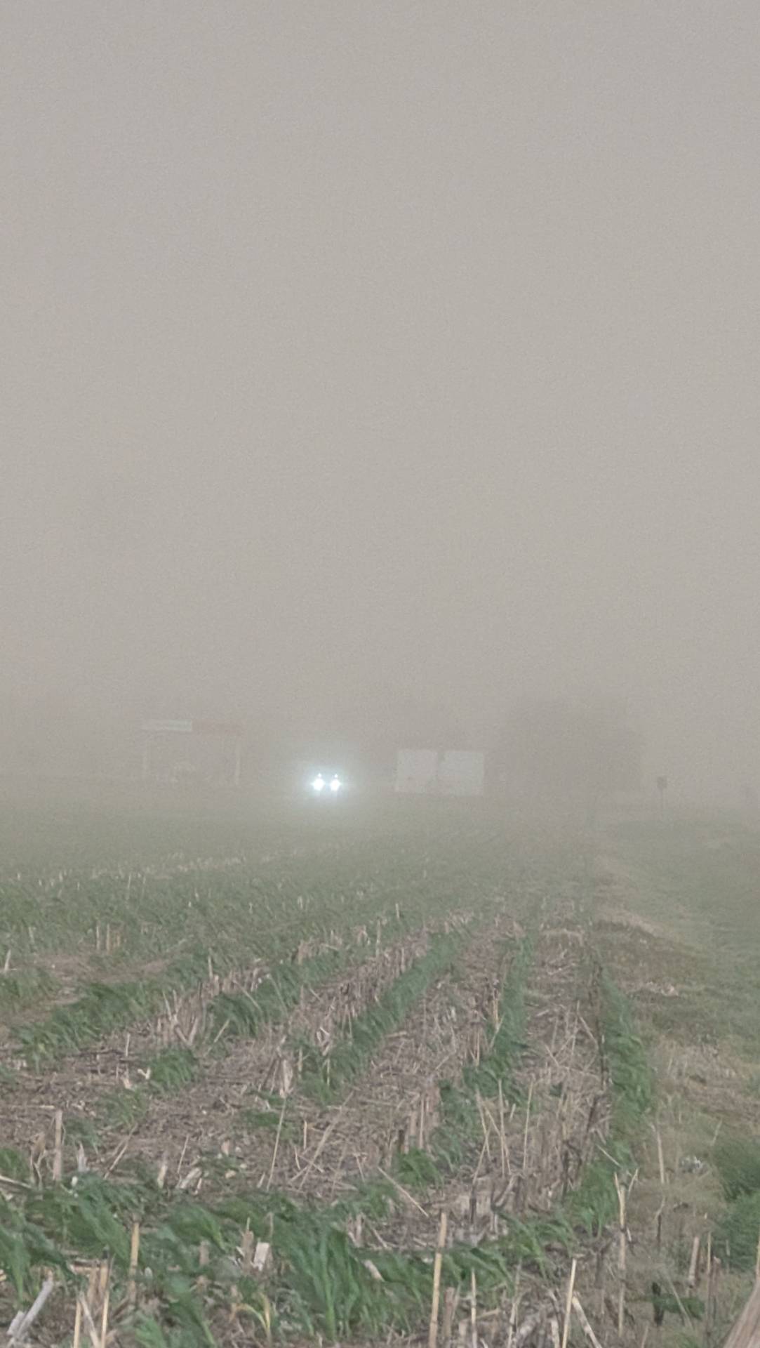 Dust storm near a tornado warned storm north of Rexford, Kansas. @NWSGoodland #kswx