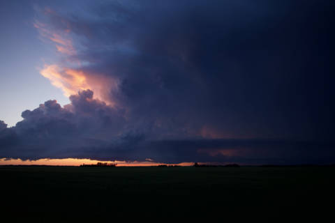 Log image
